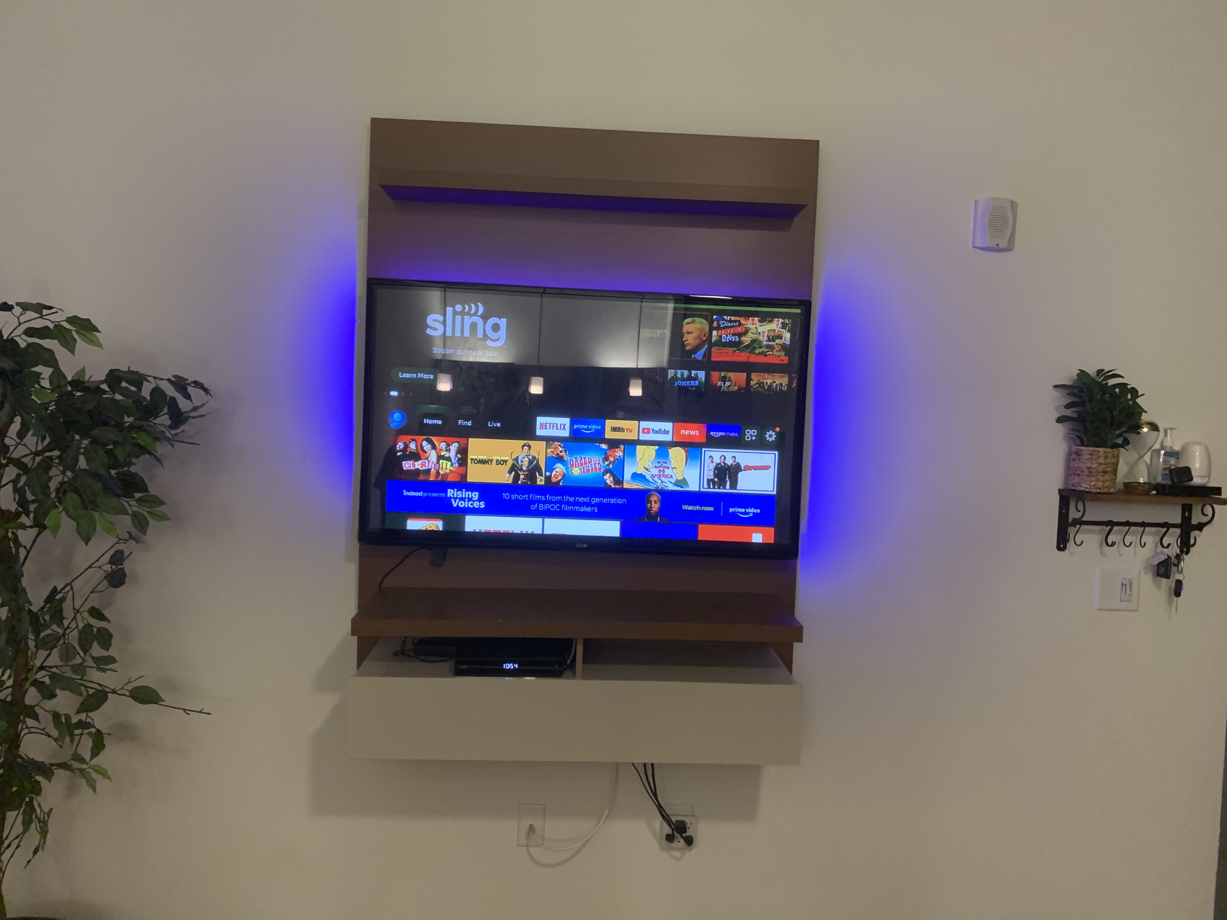 TV Mount