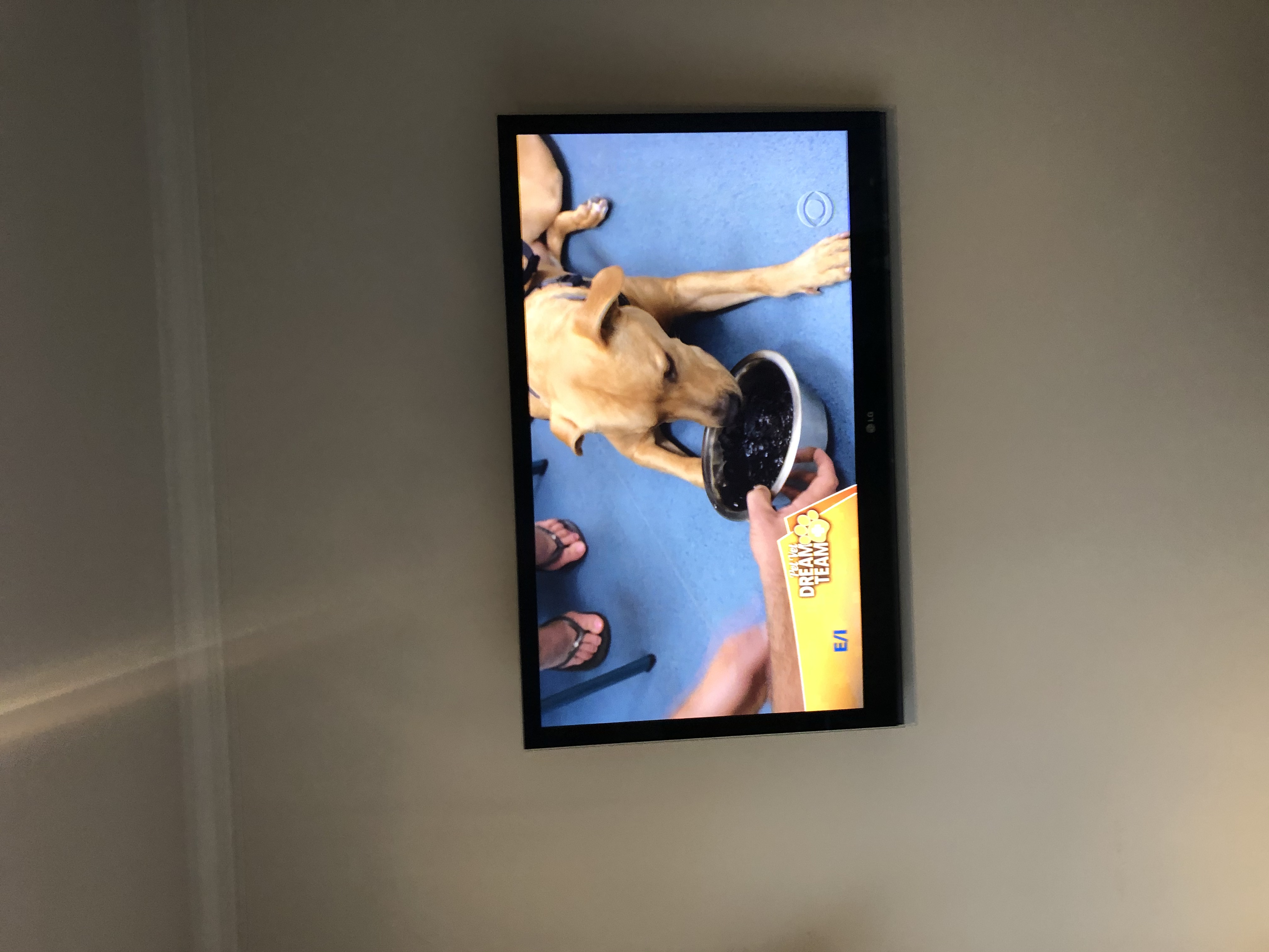 Tilting TV mounting on drywall wall in living room, Charlotte NC